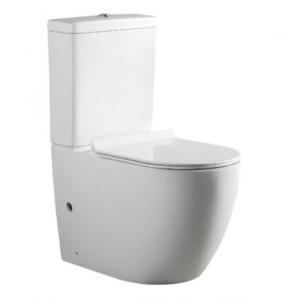 Modern Two Piece Floor Mounted Toilet