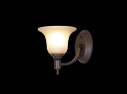 Magnifique Series Vintage Style Wall Light