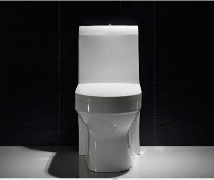 Modern Unibody (One Piece) Floor Mounted Toilet