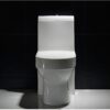 Modern Unibody (One Piece) Floor Mounted Toilet