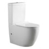Modern Two Piece Floor Mounted Toilet