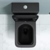 Vintage Black Angular Toilet - Soft Close - WDI ECO-Flush Pump - Image 5