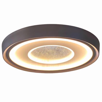 The Concentric Duo 14"Diameter Modern LED Ceiling Light - Matte Brushed Silver - Acrylic